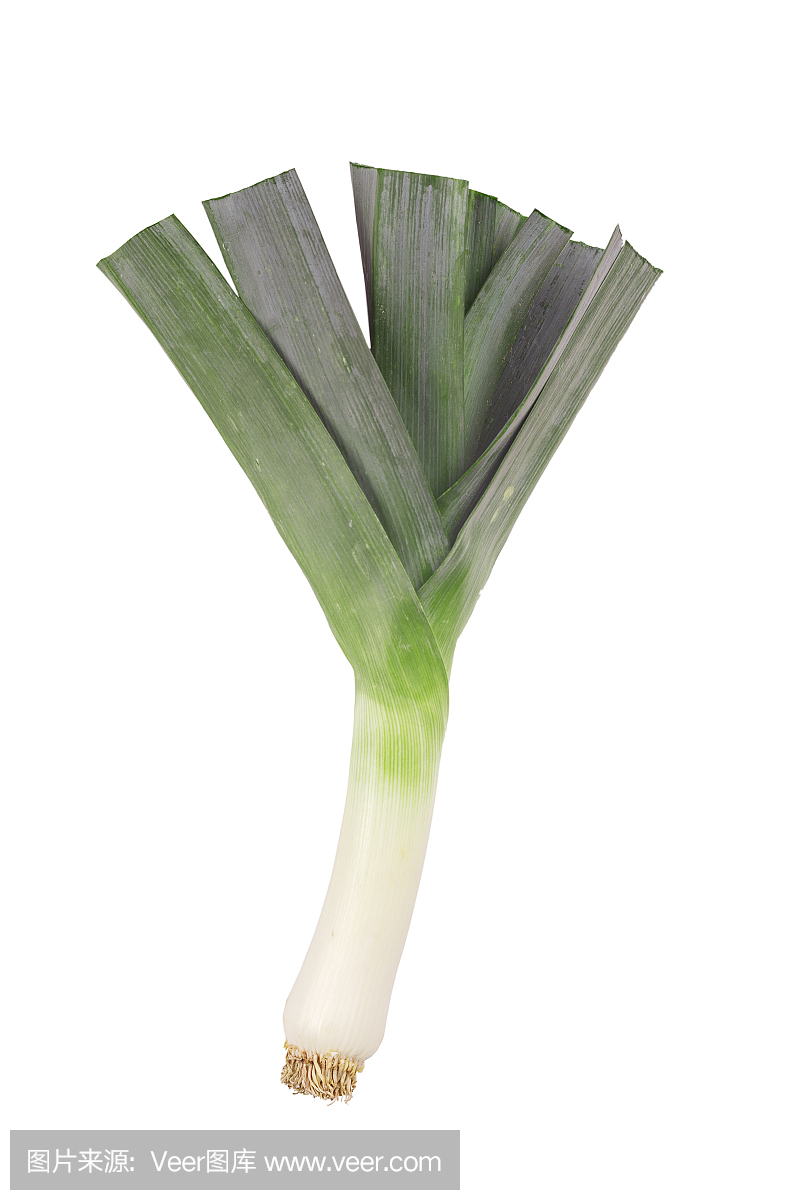 leek isolated