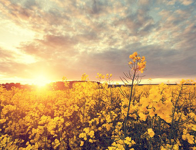 阳光唯美意境男大图