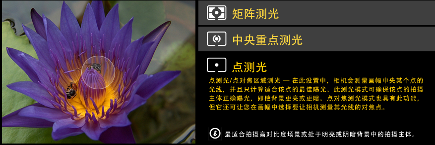 测光模式_美能达x700测光_测光序