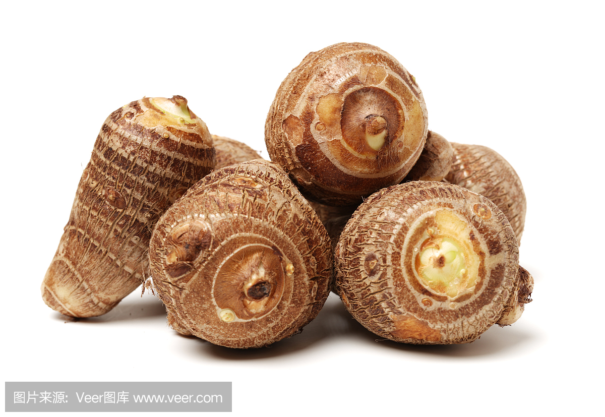 Taro potato roots on Isolated white background