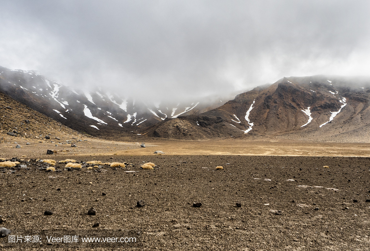 指环王三部曲,单行道,已灭绝生物,停车场