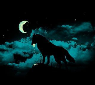 杀破狼2手机下载_手机狼人无水印_动物手机壁-9kb