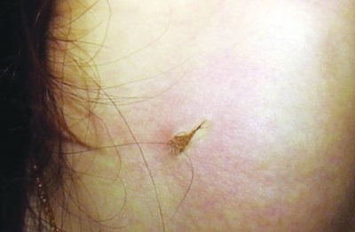 ktv装修包间效果图,ktv包间里的龌龊图,ktv包间里的男女视频,ktv包间