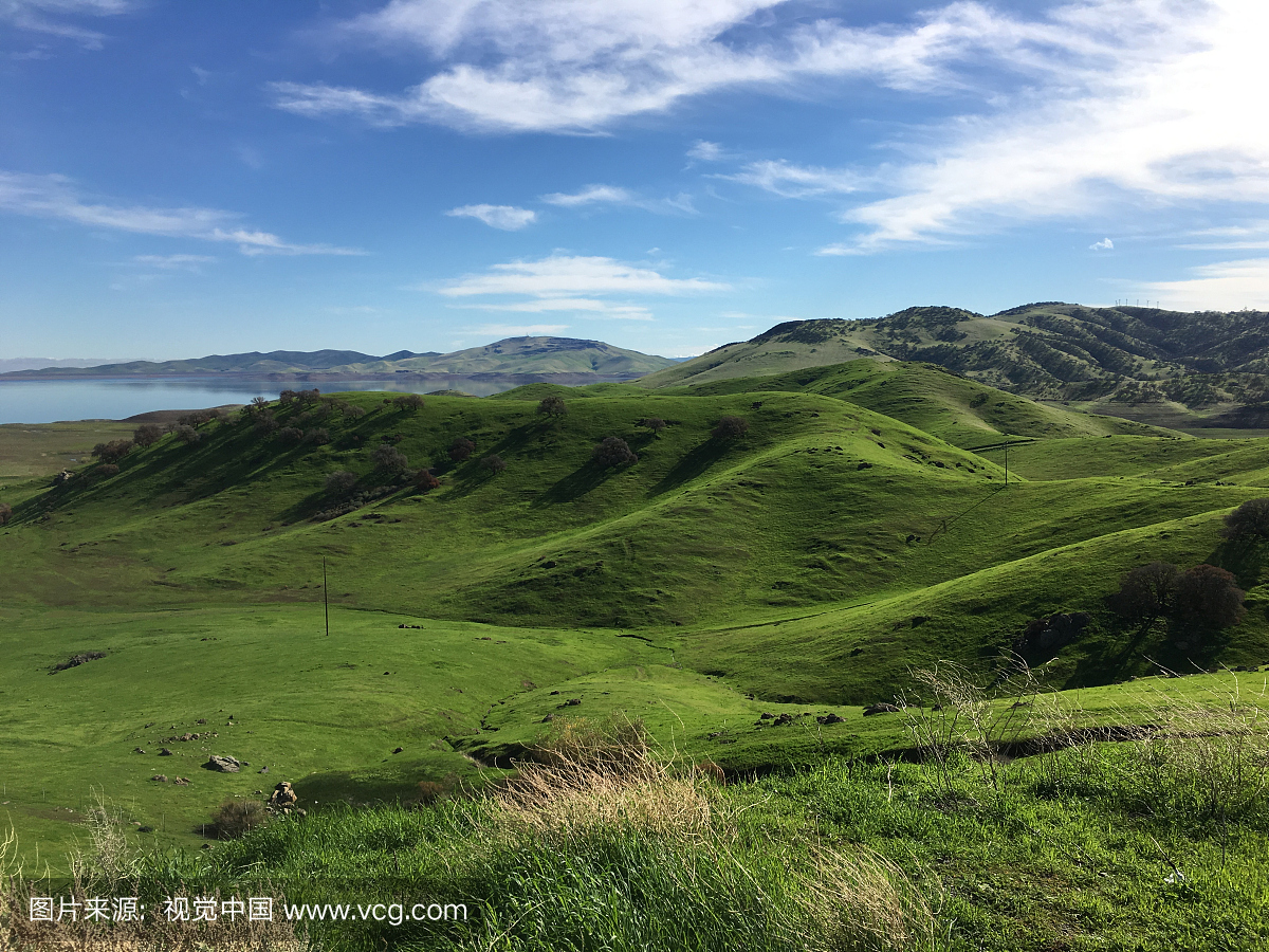 戴博洛山脉,加利福尼亚,野外动物,户外