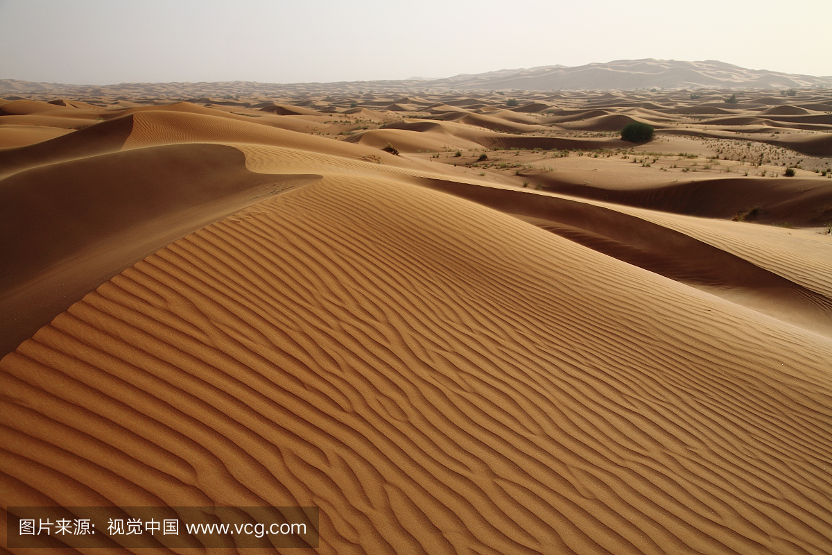 沙滩风沙,迪拜沙漠,阿拉伯联合酋长国
