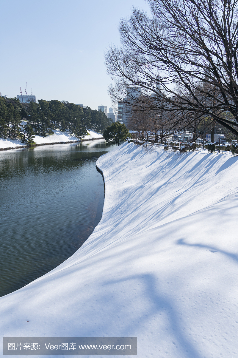 日本东京千代田区冬季暴风雪的第二天早上 - 1