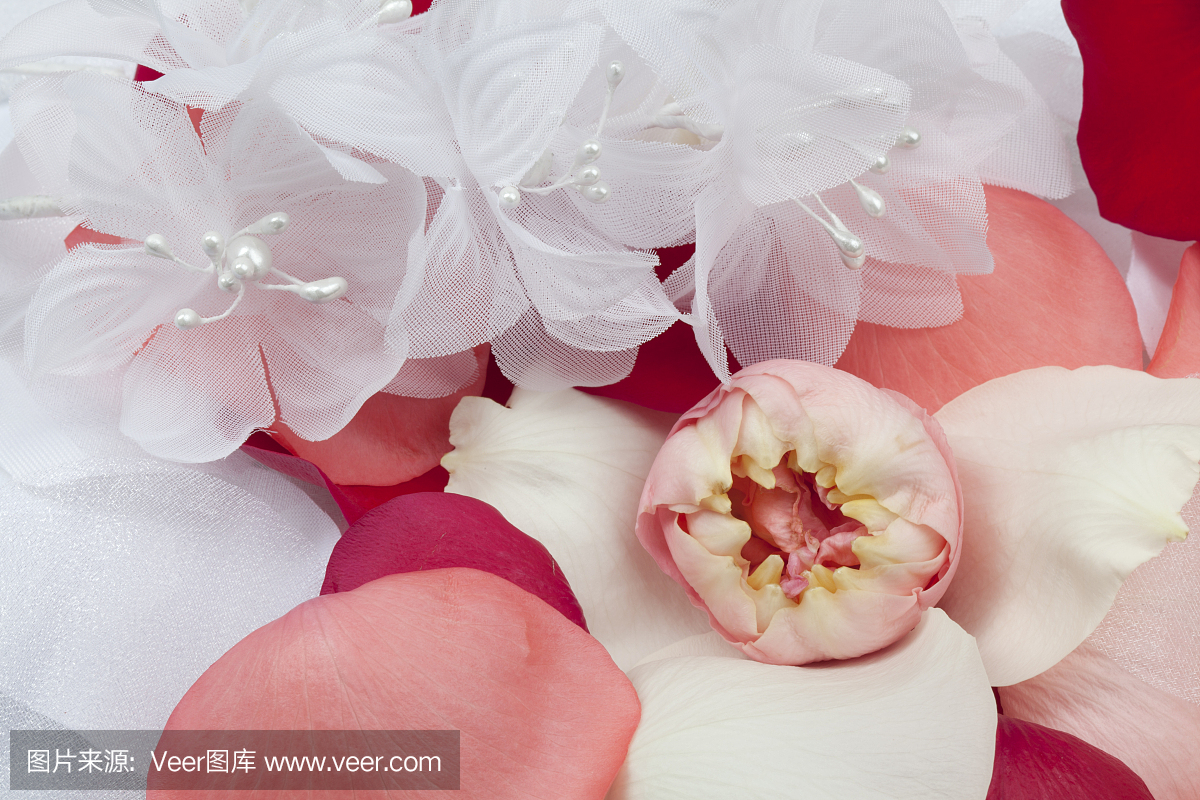 白色面料鲜花和新鲜的玫瑰花瓣,婚礼背景