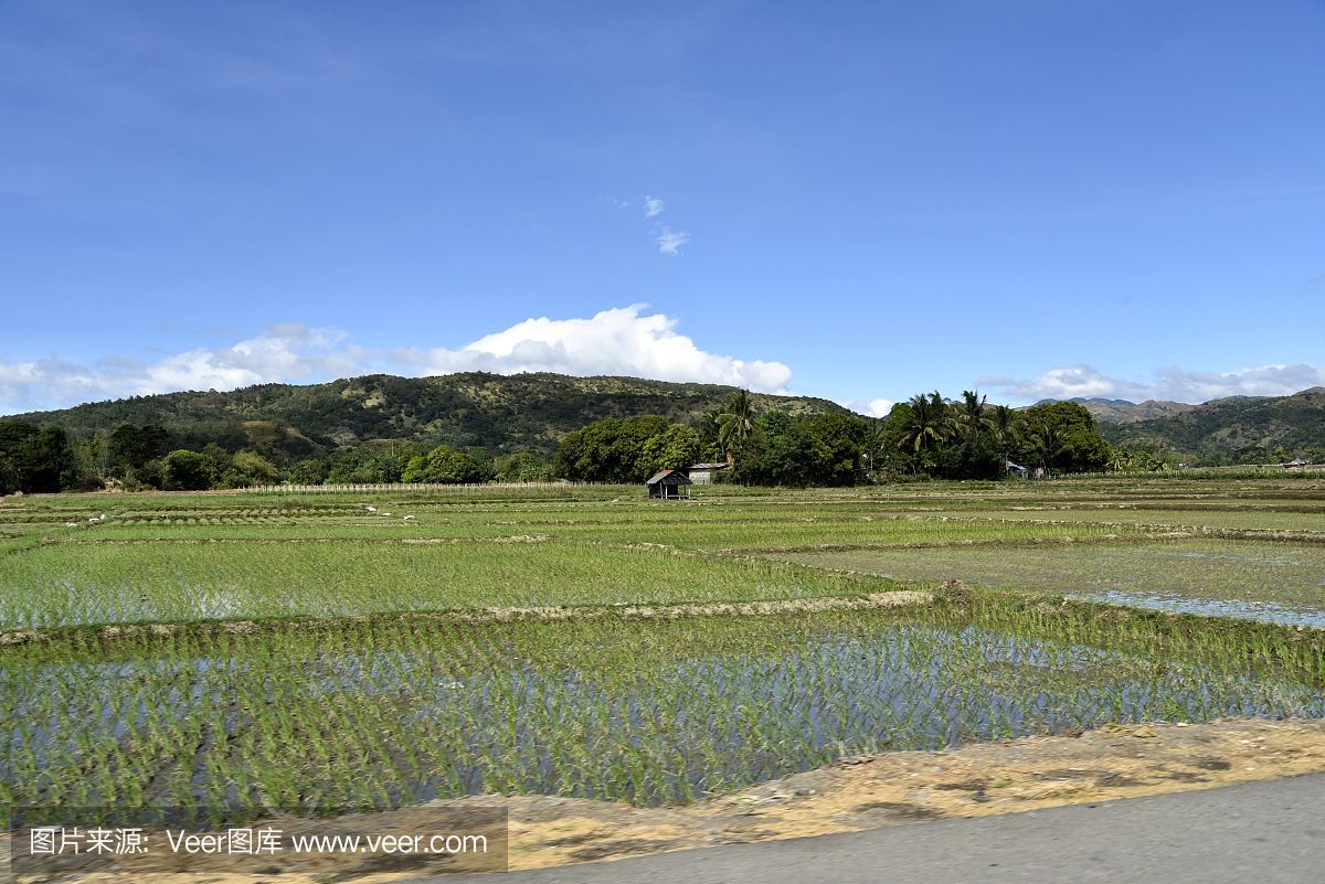 从圣地亚哥市到马尼拉的道路景观