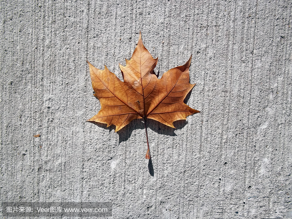 无人,季节,阿根廷,秋天