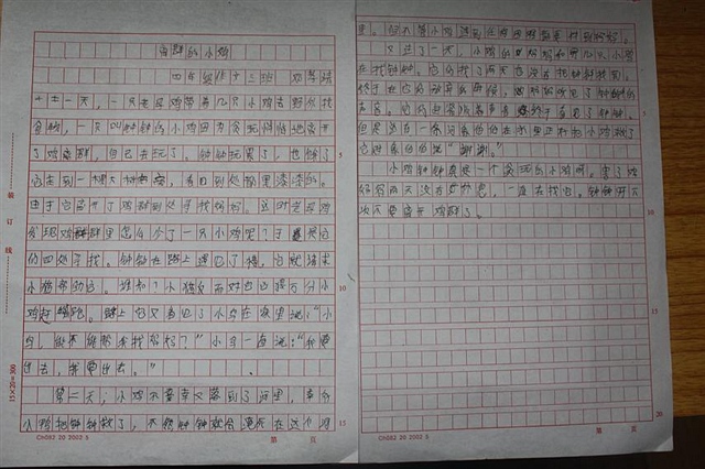 名字的故事(作文)