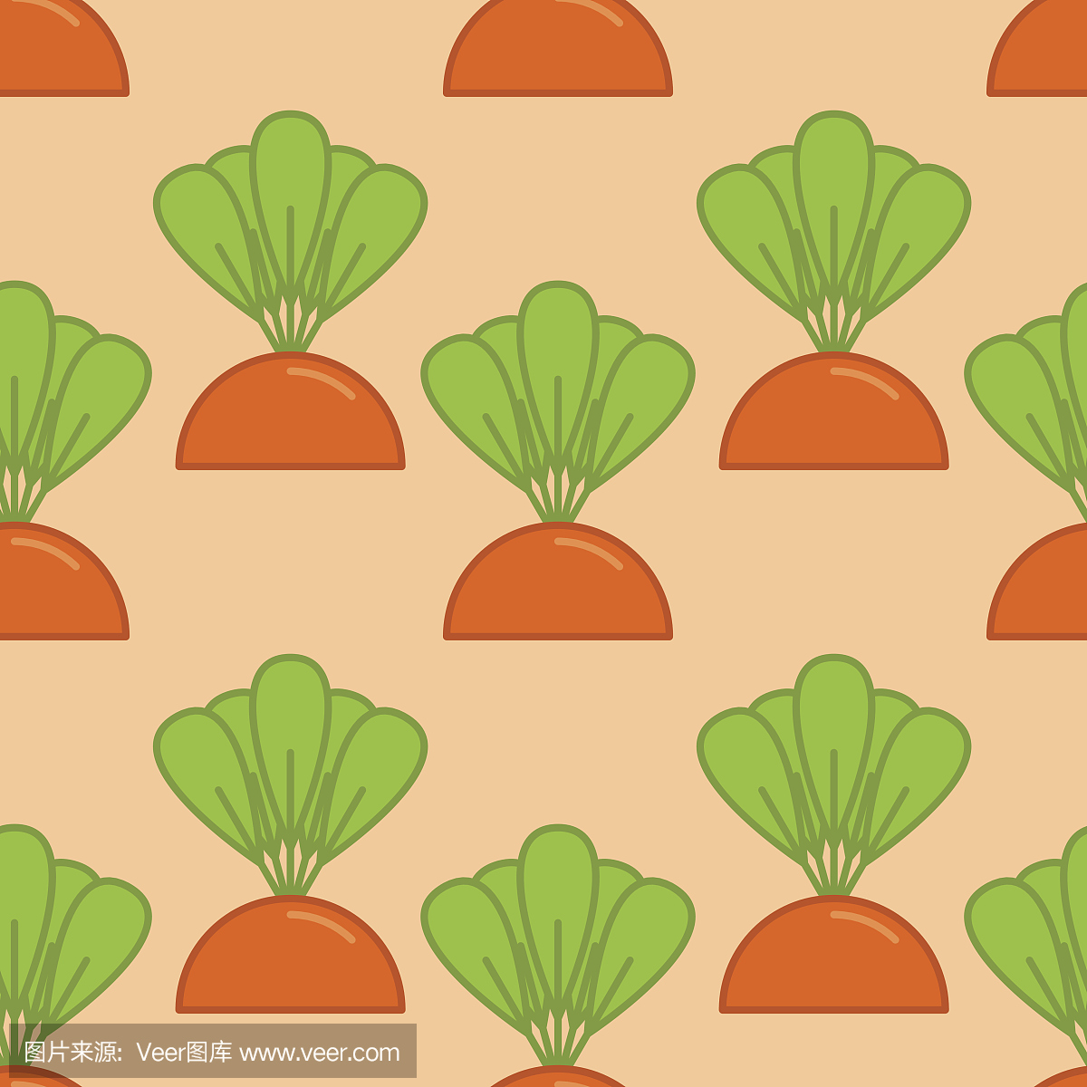 胡萝卜生长无缝模式。在花园床背景上的蔬菜