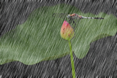 240_160 gif 动态图 动图