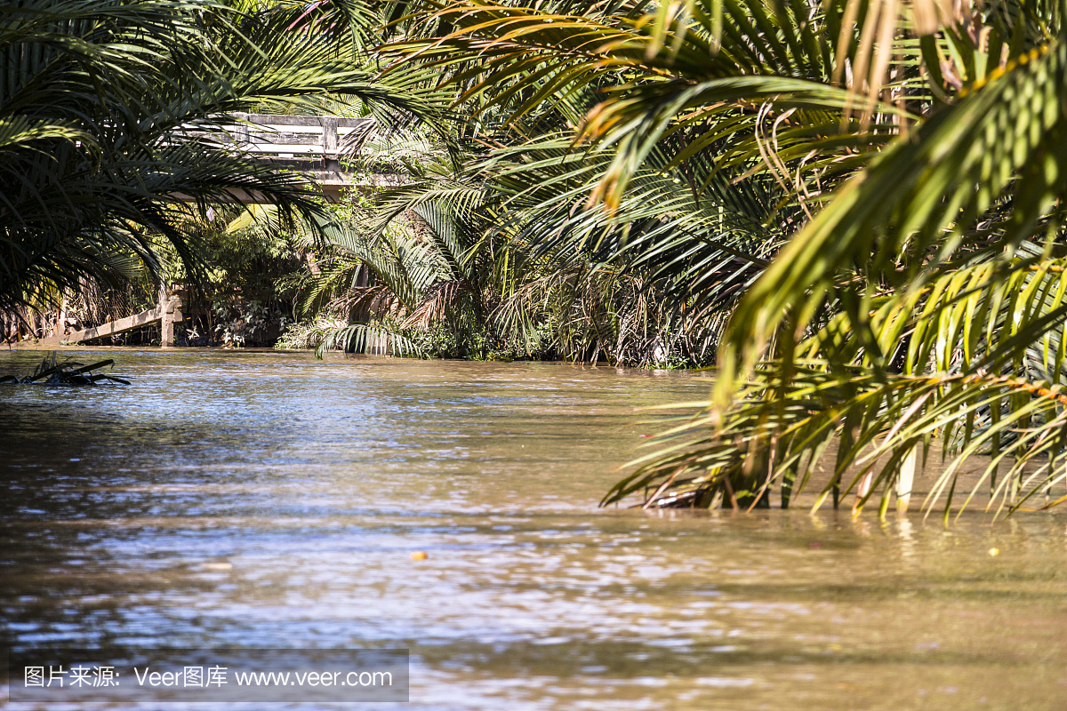 湄公河,澜沧江,胡志明市,越南胡志明市