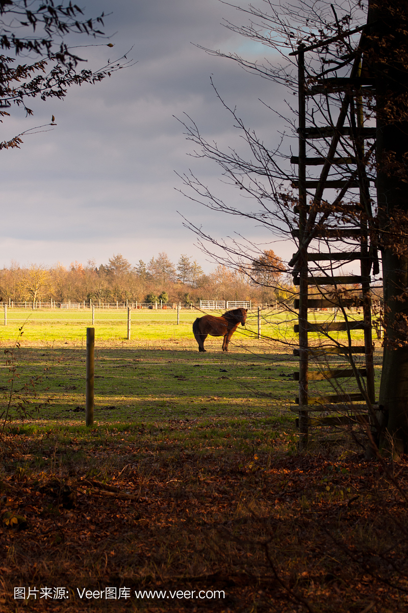 《人间牧场~更生编~》：不良少女的牧场物语