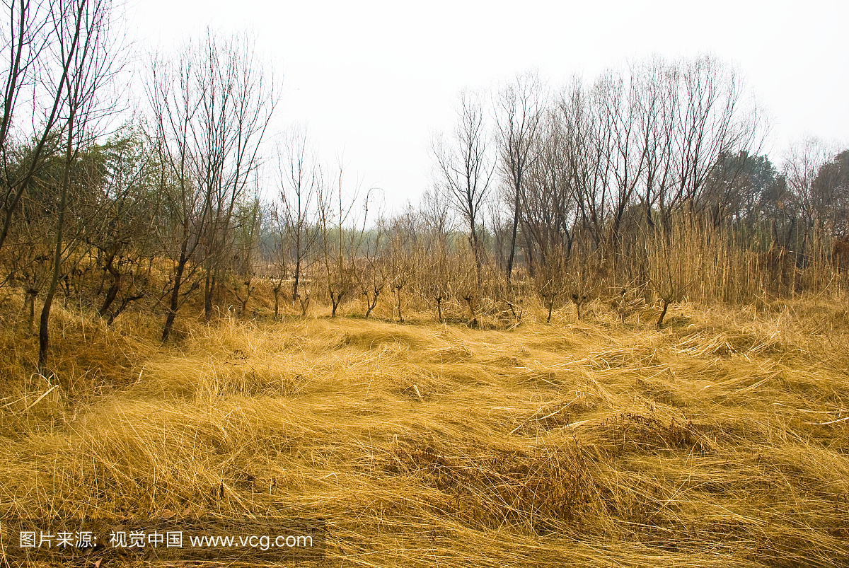 无人,空无一人,无人图像,空镜