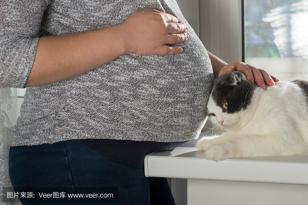 一个大肚子的孕妇站在猫旁边
