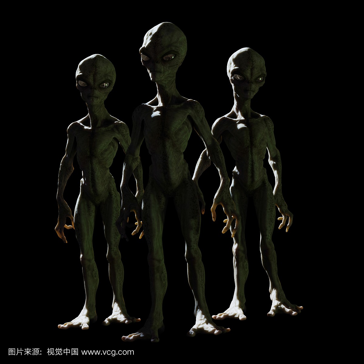 外星人,外星,变异生物,异形