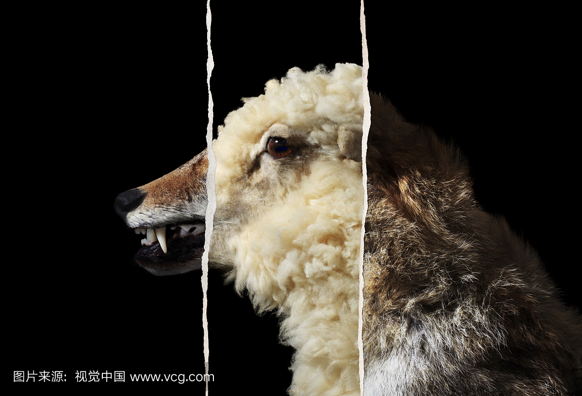 披着羊皮的狼,骗人,骗人的,骗人的把戏