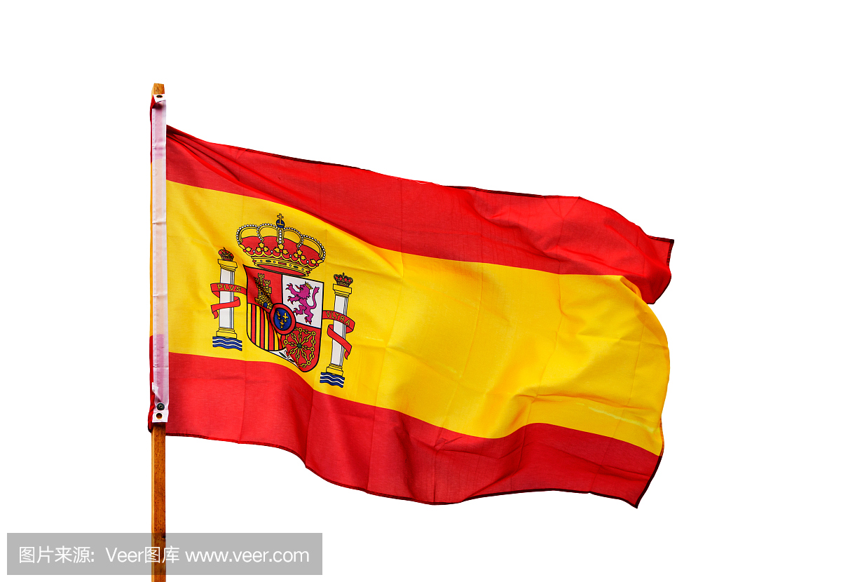 西班牙国旗在隔离在白色背景上的风