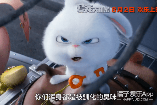 a兔子兔子城动物坏白色手工教学蝴蝶导入图片