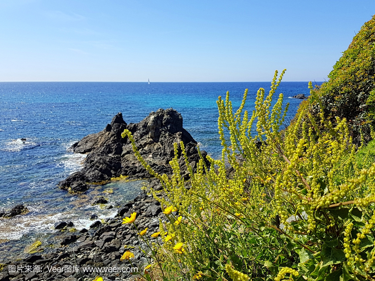 岛,风景,法国,海滩