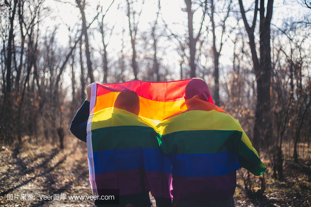 人,同性恋,同志和爱的概念 - 快乐的男同性恋夫