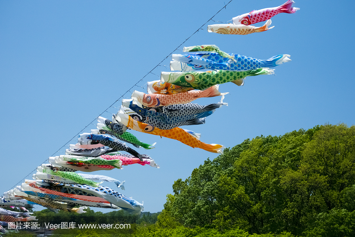 日本鲤鱼风筝,装饰反对蓝天