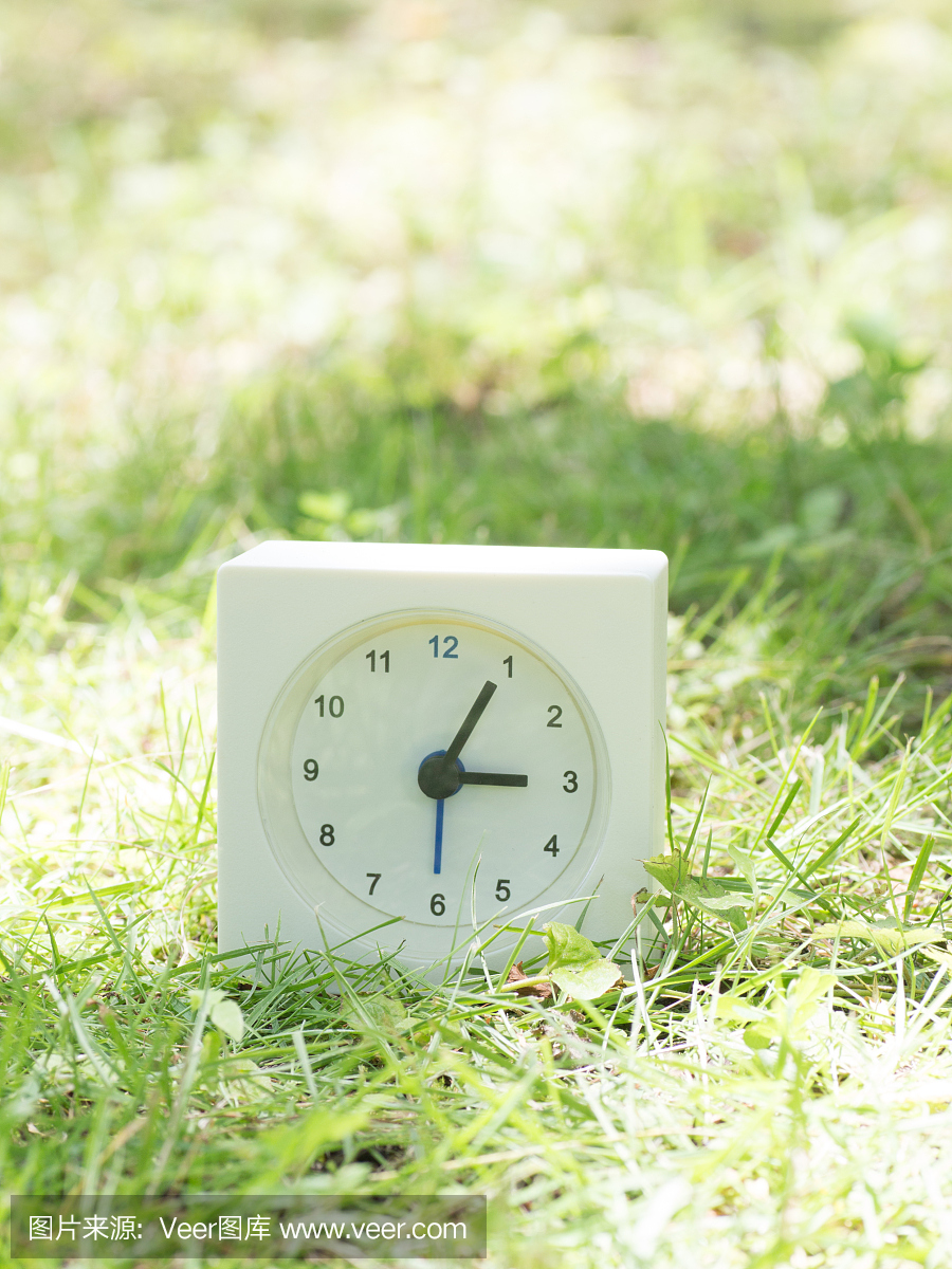 草坪上的白色简单时钟,3点05分三点钟