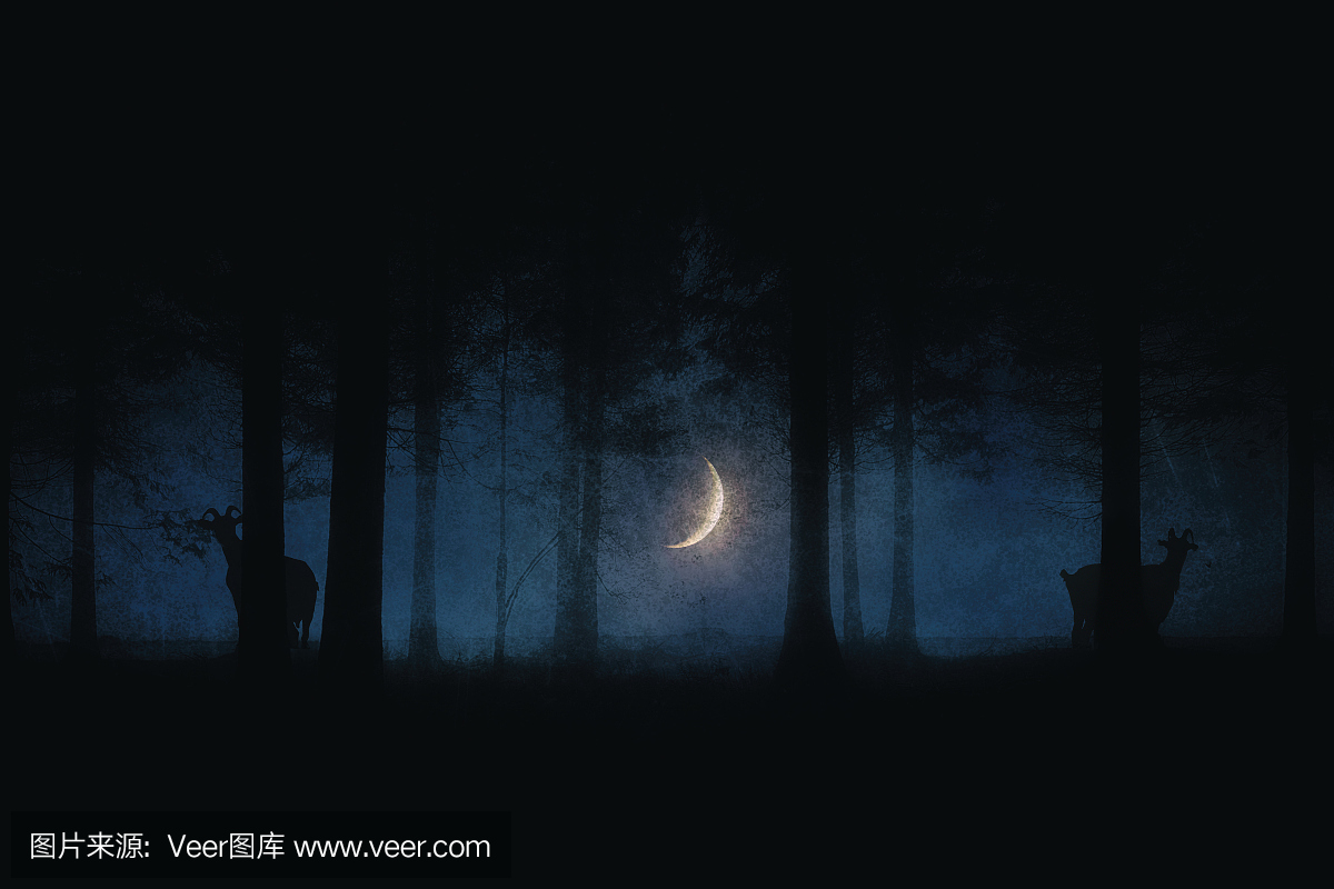 可怕的森林在晚上与月亮和山羊