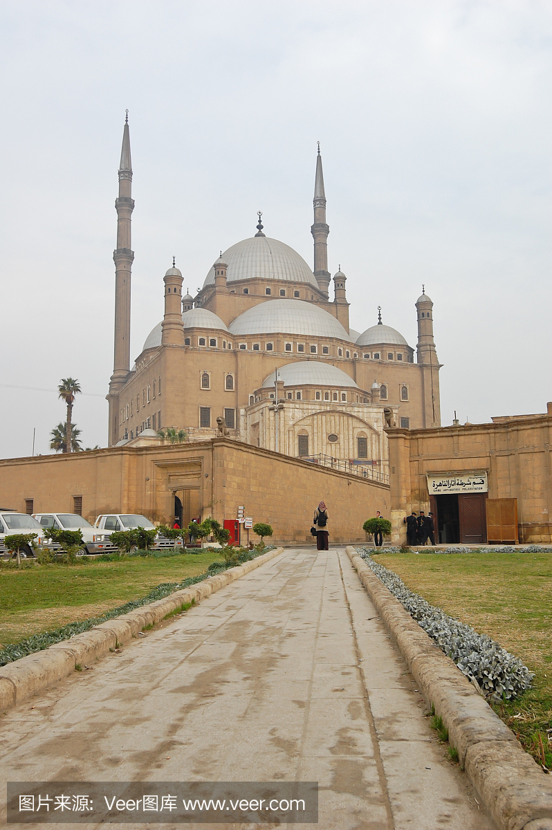 开罗,开罗市,埃及首都,垂直画幅